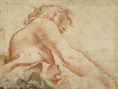 Annibale Caracci, Angelo di profilo, tra il 1580 e il 1609, Museo del Louvre, Parigi, Francia