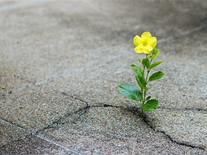 Da alcuni anni la resilienza è entrata con forza nell’agenda politica locale e mondiale 
