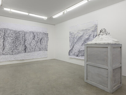 Blane De St. Croix, Installation view