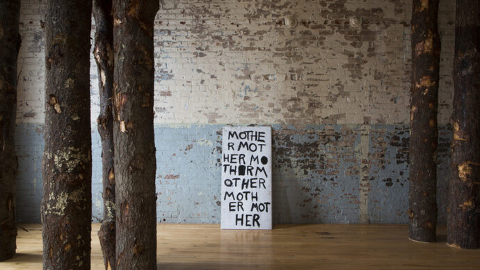 Allison Janae Hamilton. Courtesy of MASS MoCA