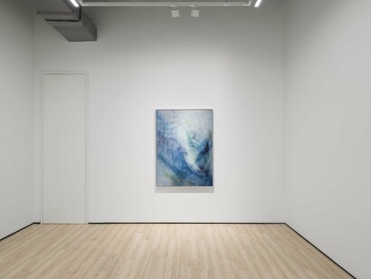 Oliver Beer, Three Nymphéas, exhibition view. Courtesy of Almine Rech