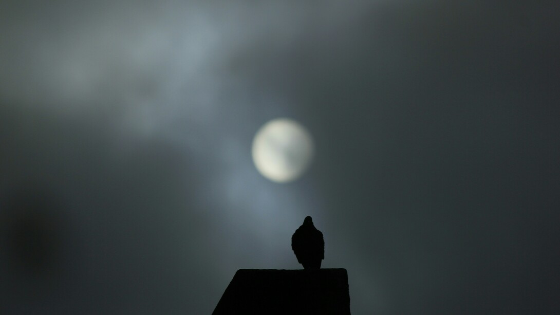 Le parecía que exageraba; se preguntaba si, lejos del arranque de creatividad, se encontraría, fresca, en las mismas condiciones de contemplarse armoniosa y deslumbrante