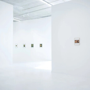 Felix De Clercq, exhibition view. Courtesy of Gallery Sofie Van de Velde