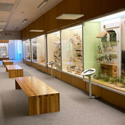 Birds of Latvia, exhibition view. Courtesy of the Latvian National Museum of Natural History