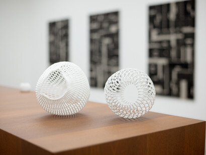 Nicole Coson, Membranes, exhibition view. Courtesy of Silverlens 