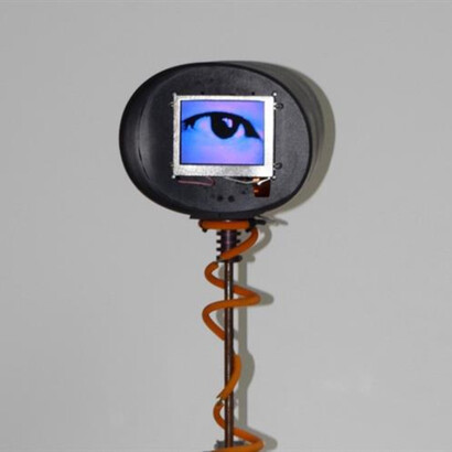 Alan Rath, Creature, 2001. Courtesy of the artist and di Rosa Gallery