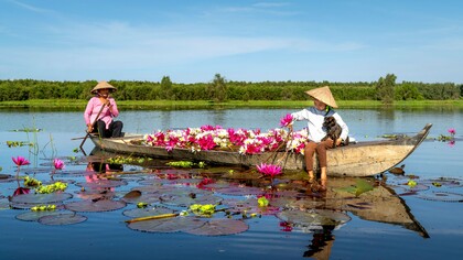 A traditional boat brimming with freshly gathered water lilies, symbolising the simple livelihood sustained by Vietnam’s rivers and wetlands