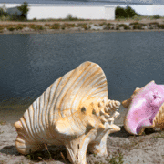 Dear Planet. Courtesy of Arken Museum of Modern Art