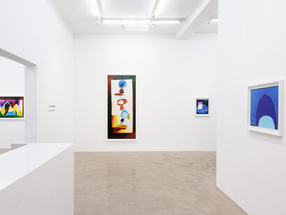 Liz Nielsen. Force Fields, Exhibition view. Courtesy of NextLevel Galerie