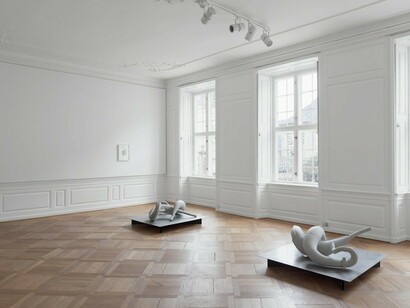 Endemisms, Exhibition view. Courtesy of Andersen's Contemporary