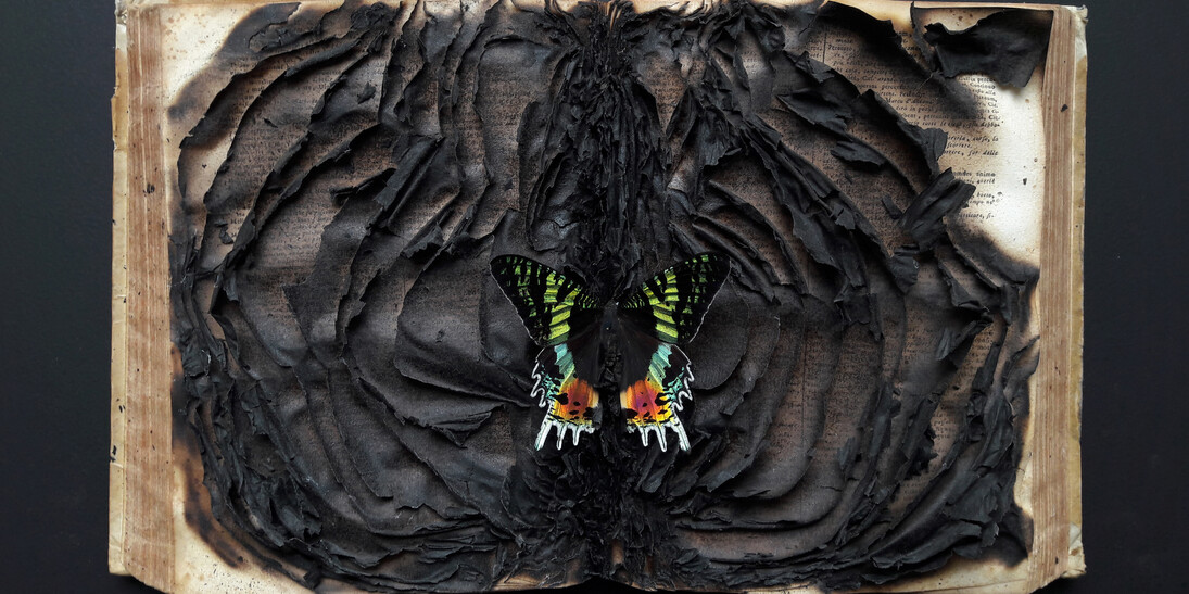 Enrique Moya Gonzalez. Courtesy of Galleria D'Arte Triphè