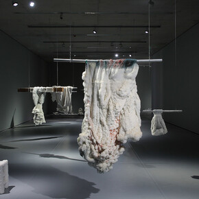 Sigalit Landau. Courtesy of Museum der Moderne