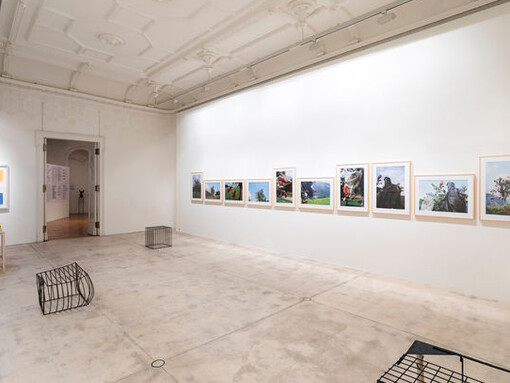 Lois Weinberger. Courtesy of Galerie Krinzinger