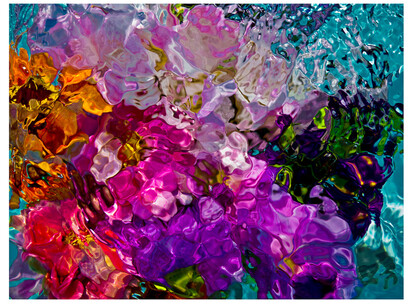Gilles Bensimon, Flowers in Water #6663 (/3), 2012, limited edition photograph, 100x129.70 cm. Courtesy the artist and Space Gallery St Barth