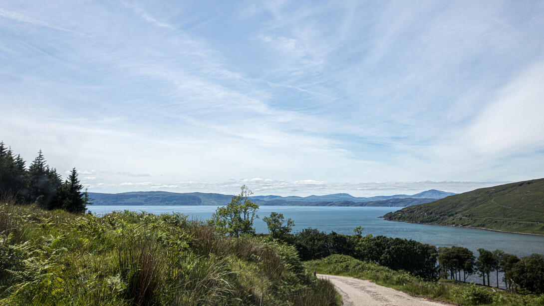 Into the Blue © Michael Stillwater