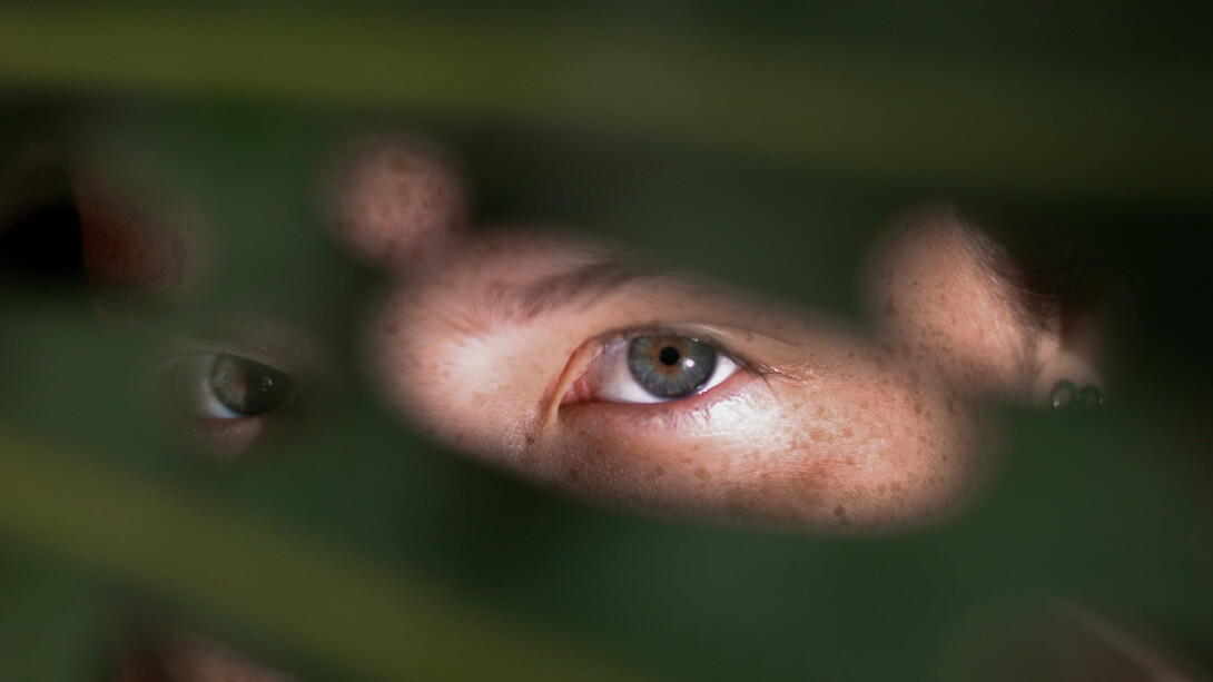 Ragazzo con occhi verdi guarda attraverso delle foglie verde scuro