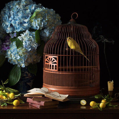 Paulette Tavormin. Courtesy of Robert Mann Gallery
