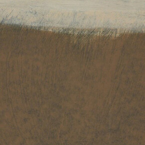 Learning to Swim. Courtesy of Court Tree Collective