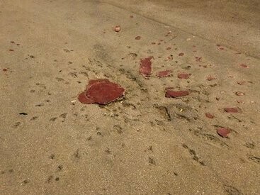 Rosa de Sarajevo. Não há placas chamativas, nem cercas. As “rosas” estão ali, no meio da calçada, inseridas no cotidiano de uma cidade que aprendeu a conviver com suas cicatrizes. É uma forma de luto coletivo transformada em arte urbana, em uma lembrança visível de que a guerra não está tão distante assim. Ao mesmo tempo, também falam de vida, pois Sarajevo segue florescendo sobre os destroços, com suas “rosas” simbolizando um gesto de memória e de renascimento