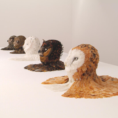 I Belgi. Barbari e Poeti