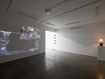 Various artists, Niu systems, exhibition view. Courtesy of Ryan Lee Gallery