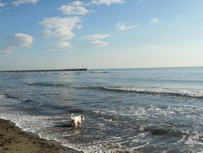 Forte dei Marmi. Foto di Massimo Landi  