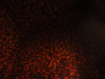 Claudio Parmiggiani, Cripta, 1994 
