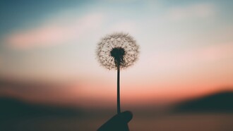 Anche quando tutto tace, qualcosa continua a tendere verso il possibile: la speranza non dimostra, ma insiste