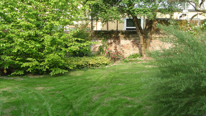 Vista del giardino