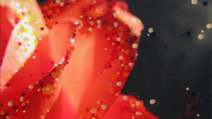 Donna Drapeau, Red Rose, Oil Pastel on, Photograph Printed on Canvas, 22" x 28", Emerging Transformation
