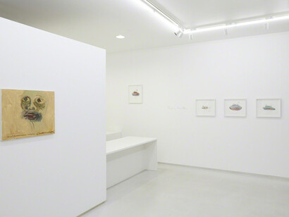 Shooshie Sulaiman. Courtesy of Tomio Koyama Gallery