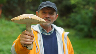 Com uma população crescente, os alimentos do futuro, como insetos, algas, cogumelos e carne de laboratório, trazem soluções sustentáveis. Inovações como fazendas verticais e proteínas alternativas ajudam a reduzir o impacto ambiental