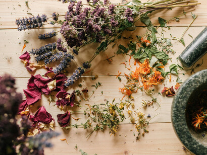 Plantation doctors were scarce or prioritized productivity over well-being, so herbs became a primary form of healthcare