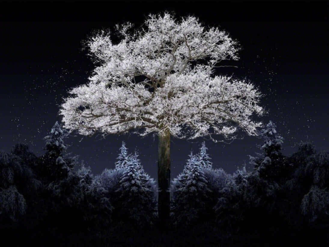 Aqua Aura, Singularity, 2015-2016.  Courtesy of Cell63