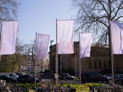 Carlotta Bailly-Borg, Leaning against the wind, exhibition view. Courtesy of S.M.A.K.