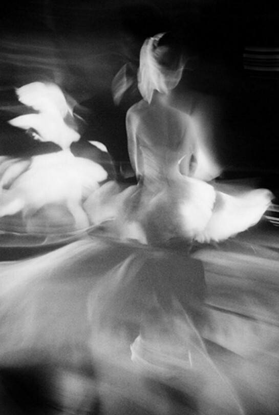 Echo, 2004, Selenium toned gelatin silver print, 24 x 20 inches, edition of 10 © John Goodman.