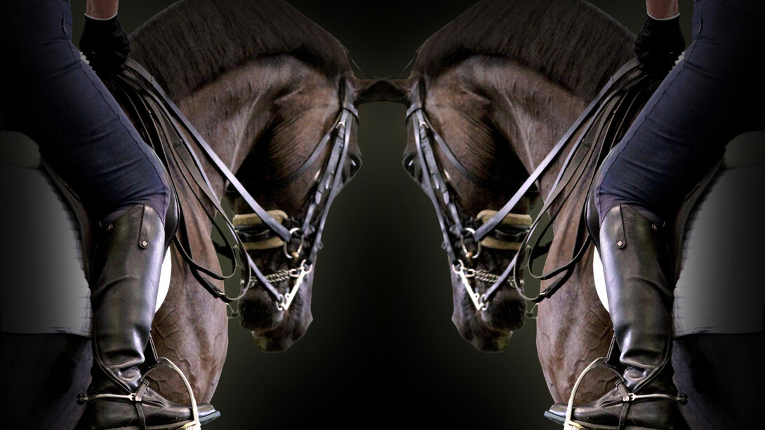 GK Horses