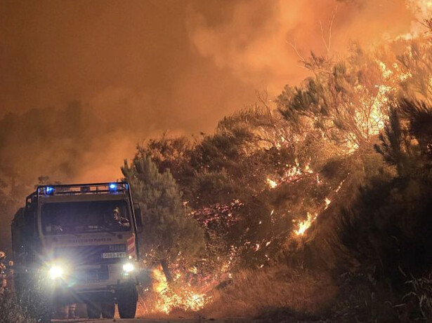 Año tras año, bosques enteros desaparecen a causa de incendios que se repiten siguiendo un mismo patrón: una biomasa que alimenta el sotobosque, que crece sin control y de la que nadie se responsabiliza, España