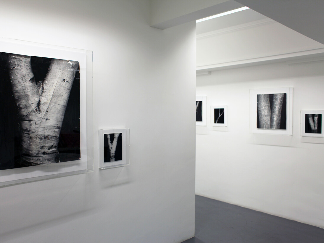 Clare Strand, Getting Better and Worse at the Same Time. Exhibition view