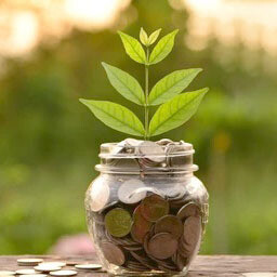 The reality of Sustainability Credits program can mean $50 trillion investment for global renewable transformation 