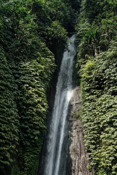 El paraíso: cascadas, ríos y una biodiversidad infinita