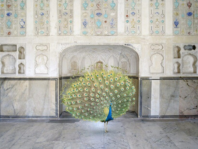 Karen Knorr, Master of seduction, Amer Fort, Amer, 2017, Courtesy of Sundaram Tagore Gallery