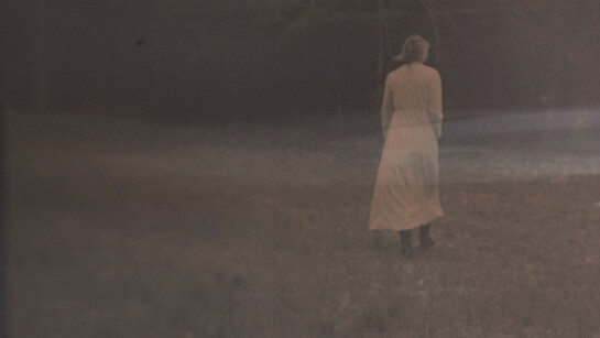 Patricia Heal, Dashwood, 2014 , giclee print