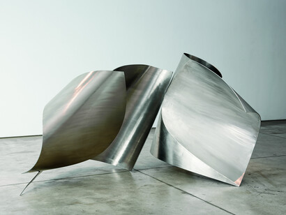 Iole de Freitas Untitled 2017 stainless steel
1,33 x 2,33 x 1,45 m