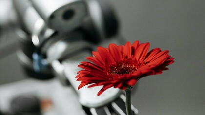 Máquina oferece uma flor. No tempo presente, a sofisticação e o avanço da inteligência artificial, replica com um grande esmero, as funções cognitivas humanas