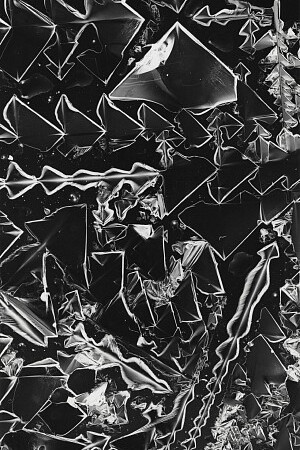 Jean-Pierre Sudre, Insecte (detail), 1979. Courtesy of Gitterman Gallery