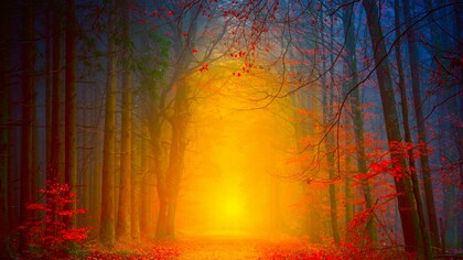 Amanecer de sol y corazón