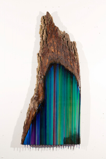 Shane McAdams, Walnut 2, ballpoint pen and resin on ash, 35 x 16 inches. Photo credit: Kyle Seis