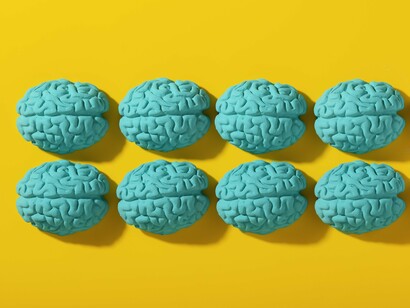 A series of brain models displayed together, symbolizing the dynamic regulation of genes involved in memory and learning