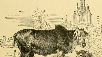 Historia del mundo de John Clark Ridpath (April 26, 1840 – July 31, 1900) : un relato del origen étnico, el estado primitivo, las primeras migraciones, las condiciones sociales y la promesa actual de las principales familias de hombres (1897), USA